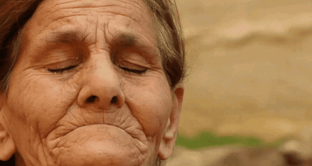 السورية زيزوف علي.. سيدة “عين الورد” تشعل مواقع التواصل - صورة مميزة صورة مميزة: السورية زيزوف علي.. سيدة “عين الورد” تشعل مواقع التواصل