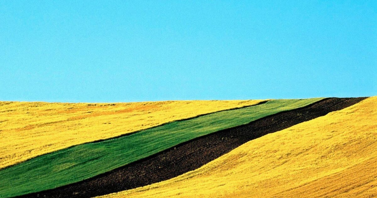 فرانكو فونتانا: رائد التصوير الملون الذي حوّل المناظر إلى تجريد - صورة مميزة صورة مميزة: فرانكو فونتانا: رائد التصوير الملون الذي حوّل المناظر إلى تجريد