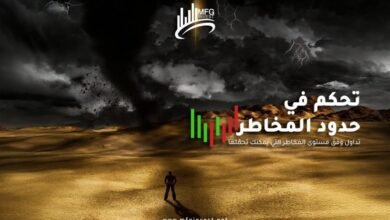 لماذا يختار المستثمرون التداول مع MFG INVEST